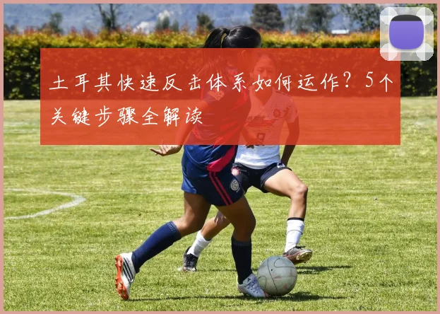 土耳其快速反击体系如何运作？5个关键步骤全解读