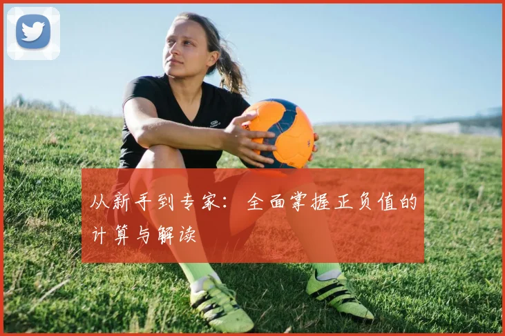 从新手到专家：全面掌握正负值的计算与解读