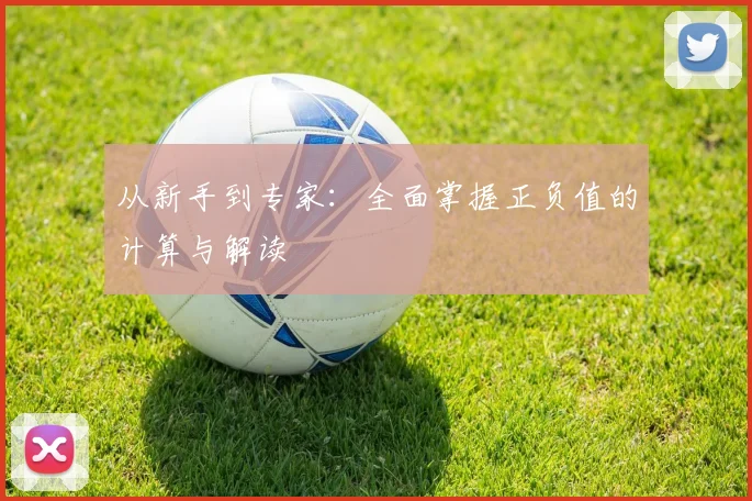 从新手到专家：全面掌握正负值的计算与解读
