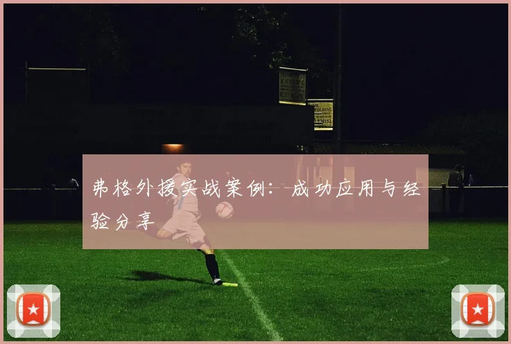 弗格外援实战案例：成功应用与经验分享