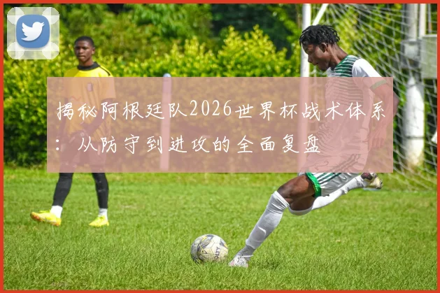 揭秘阿根廷队2026世界杯战术体系：从防守到进攻的全面复盘